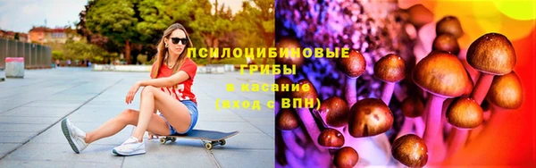 каннабис Аркадак