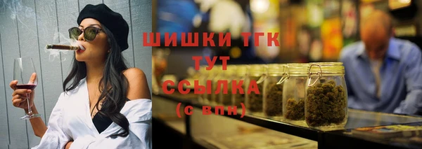 тгк Снежногорск
