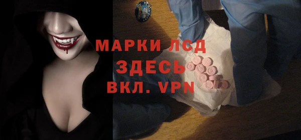 индика Баксан